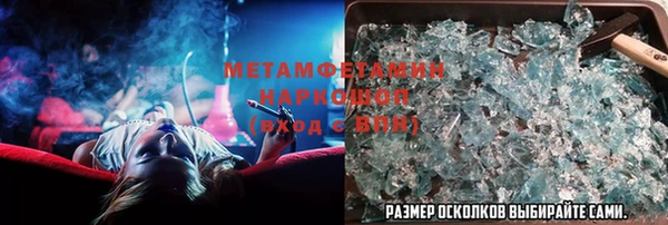 прущие грибы Сатка