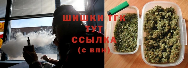 эйфоретик Арсеньев